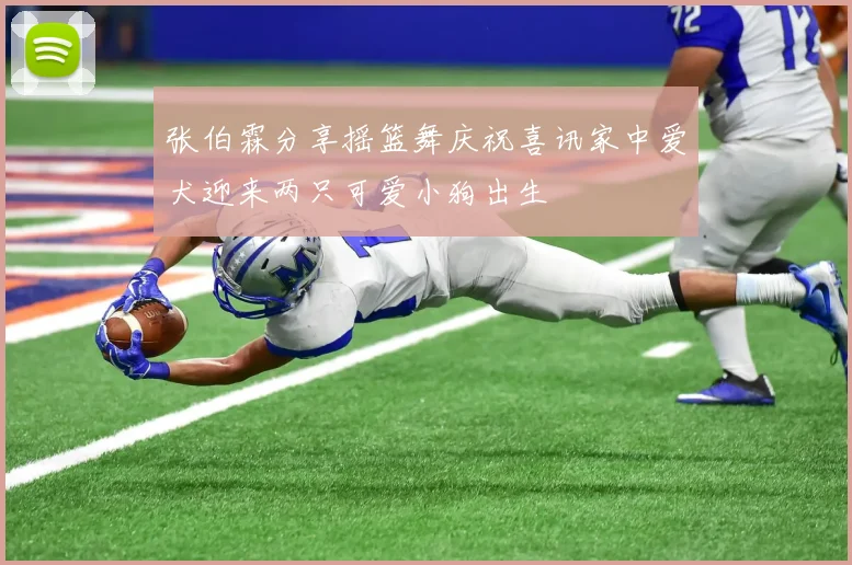 张伯霖分享摇篮舞庆祝喜讯家中爱犬迎来两只可爱小狗出生