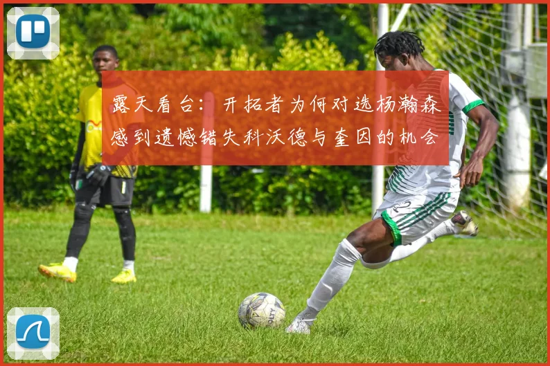 露天看台：开拓者为何对选杨瀚森感到遗憾错失科沃德与奎因的机会
