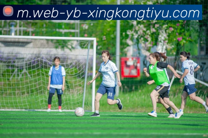 星空体育品牌故事