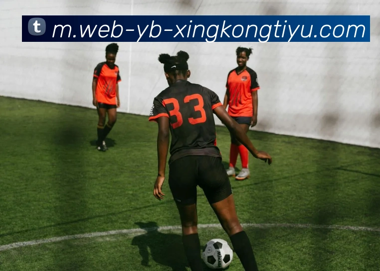 星空体育服务体系